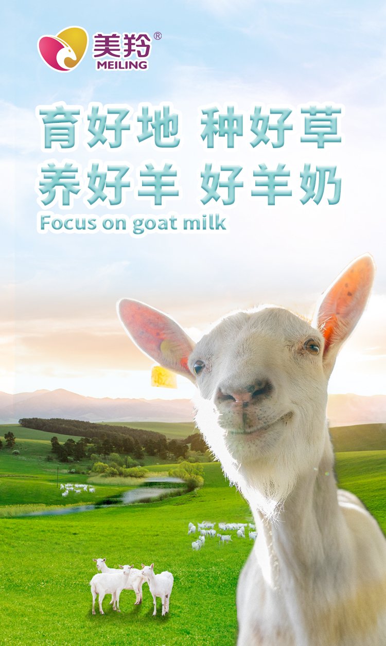 继续了解拥有日处理生羊乳600吨