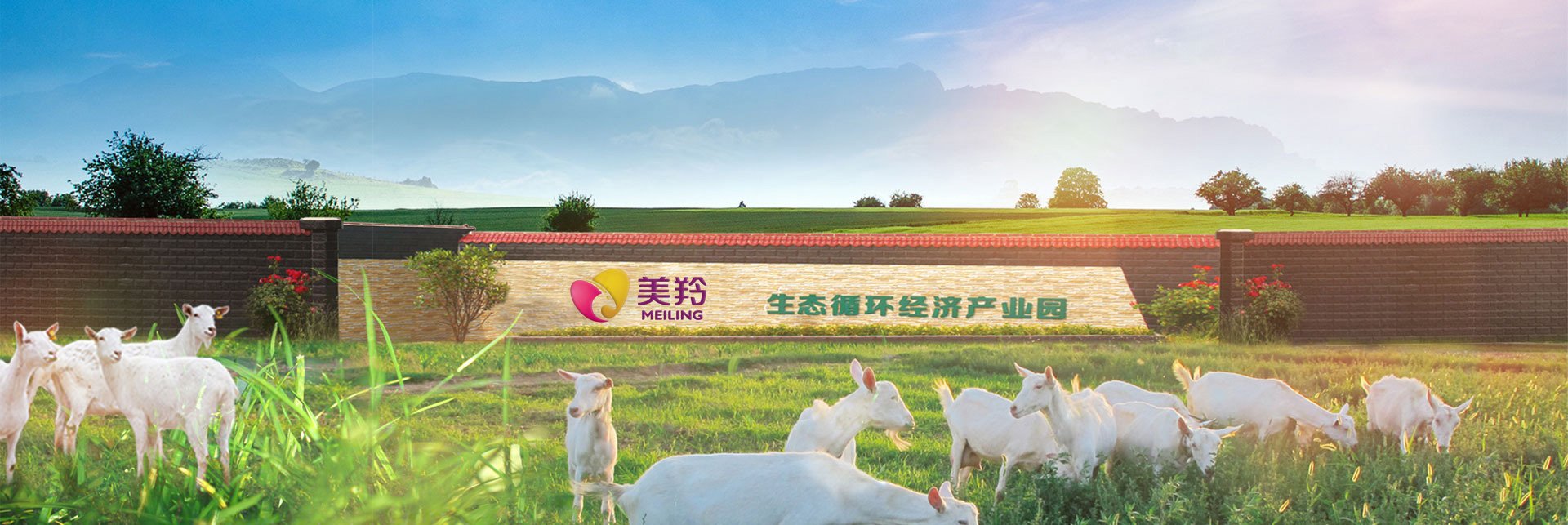 美羚荣获“第十届陕西质量奖提名奖”