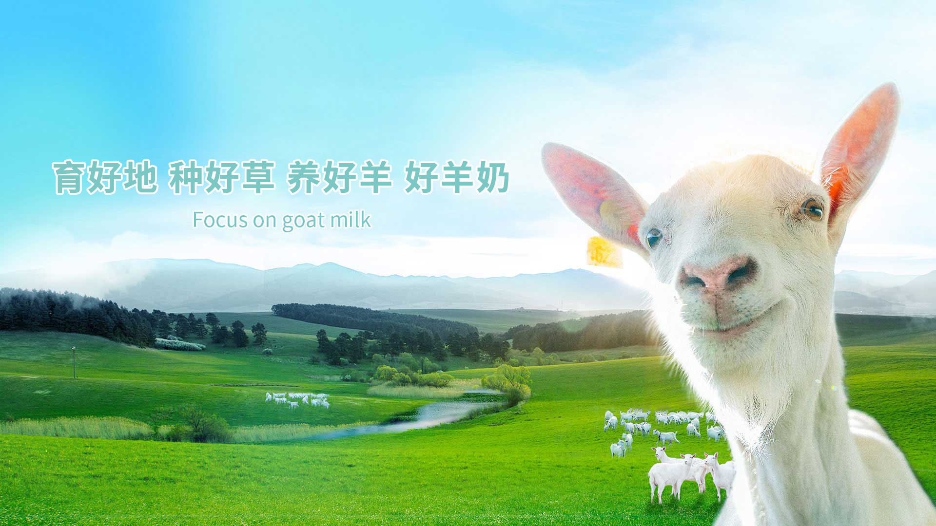 销售为一体的全产业链羊乳0029线路