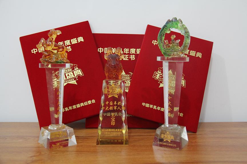 十大品牌