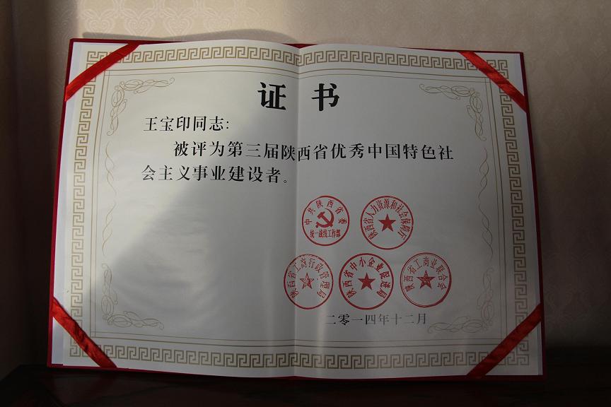 陕西省乳协副会长