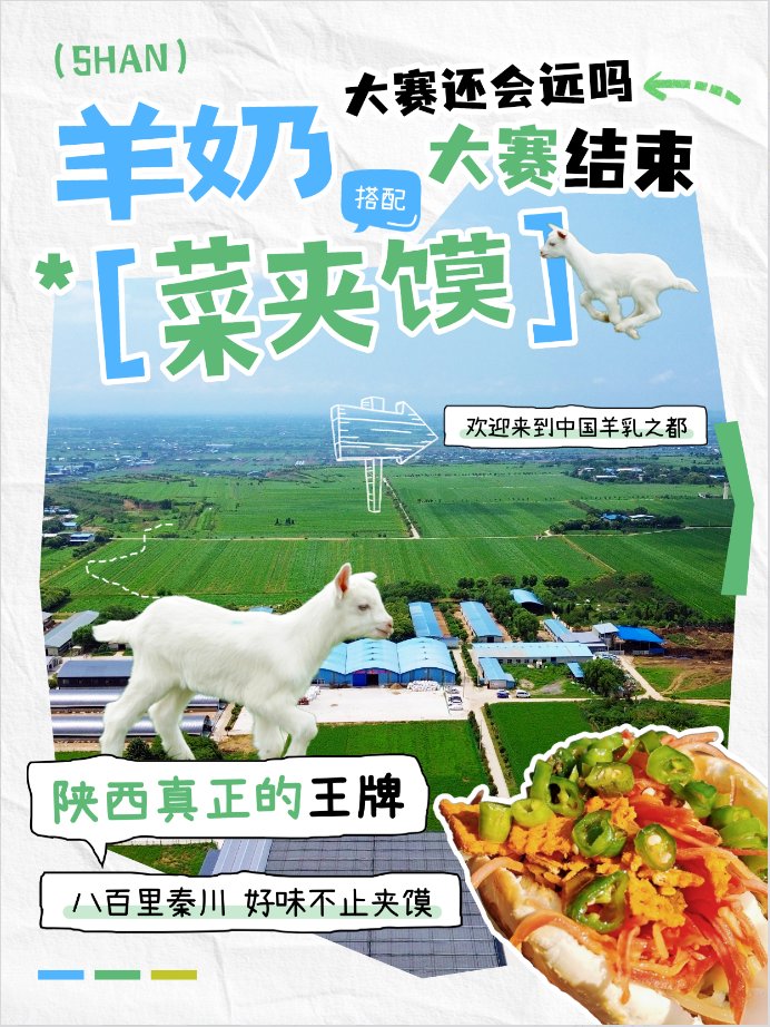 1774603261422480.png 但作为一只地道的陕西羊