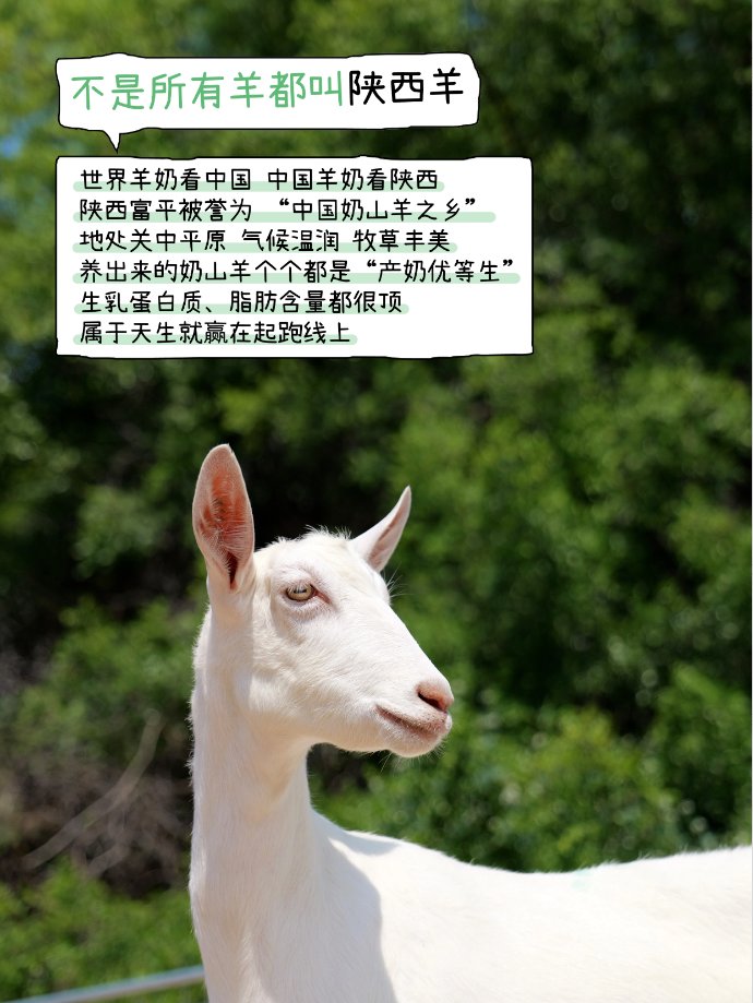 1774603285147415.png 本咩在想