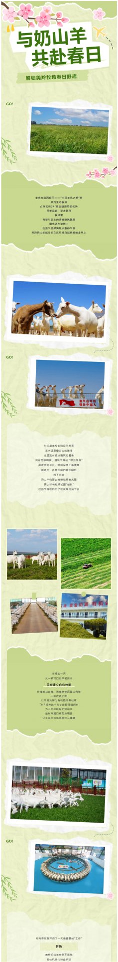 招商电话：4008-168-698