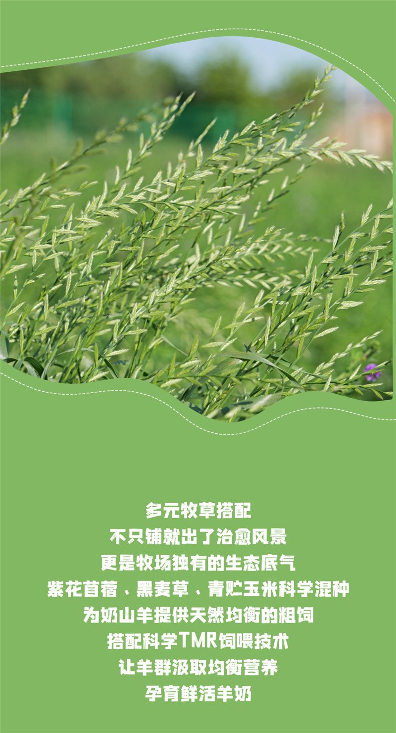 可结合站内栏目与相关篇目一并浏览