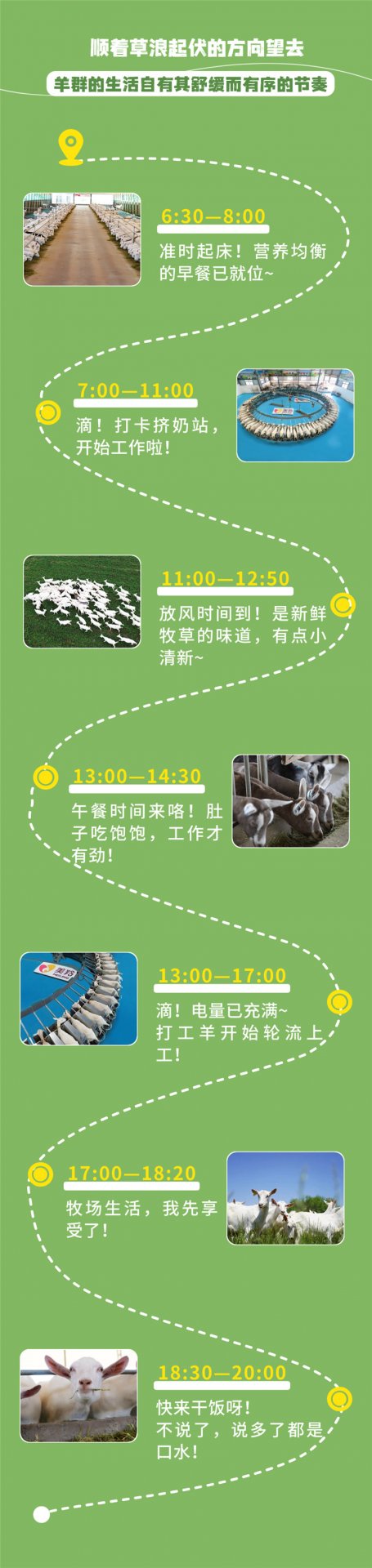 栏目用于追新
